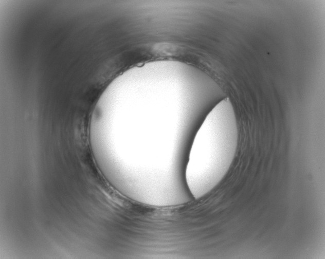 X0000069410418200605121054