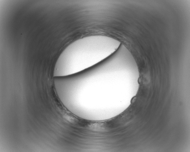 X0000069410422200605121054