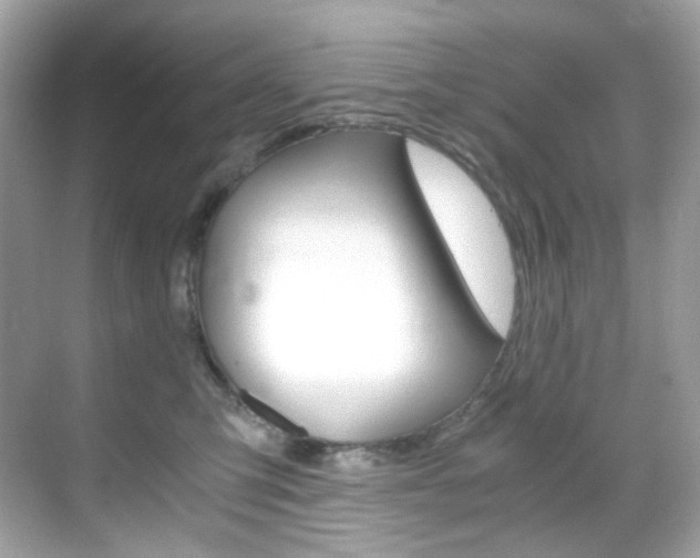 X0000069410423200605121054