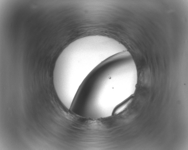 X0000069410424200605121054