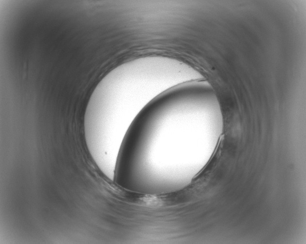 X0000069410425200605121054