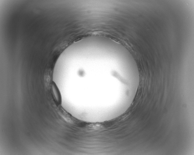 X0000069410427200605121054