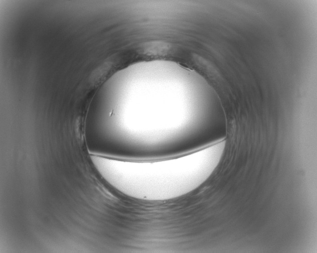 X0000069410428200605121054
