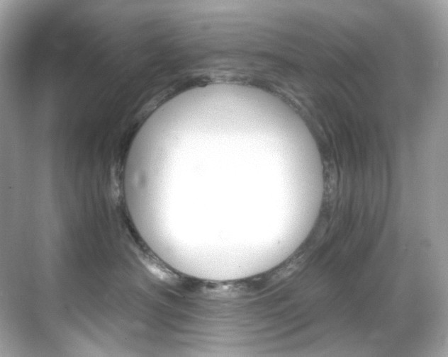 X0000069410430200605121054