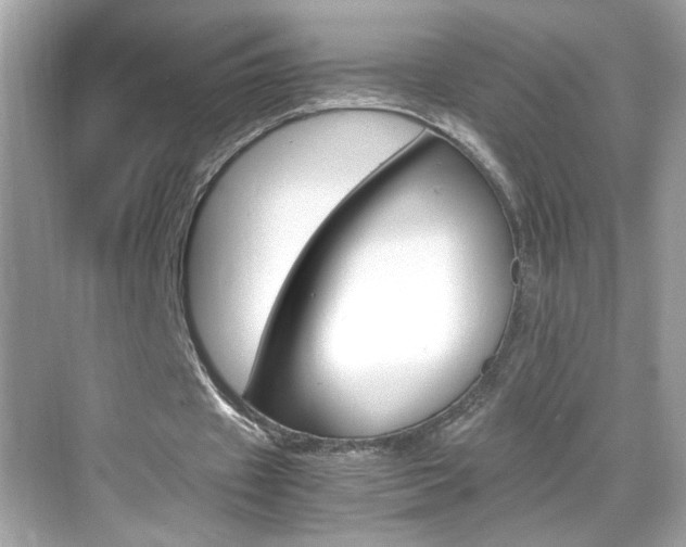 X0000069410433200605121053