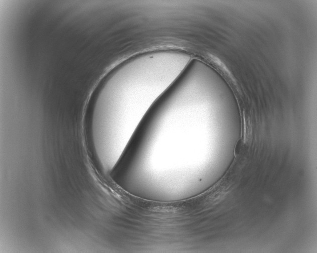 X0000069410435200605121053