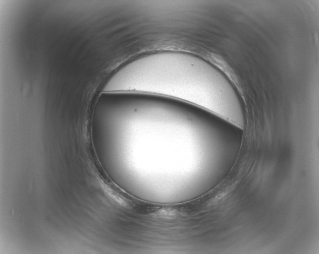 X0000069410441200605121053