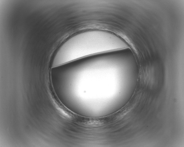 X0000069410445200605121053