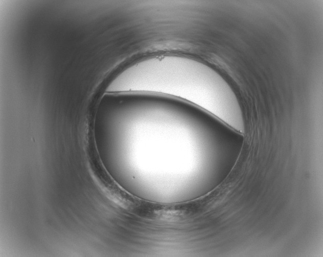 X0000069410448200605121053