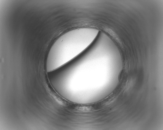 X0000069410449200605121053