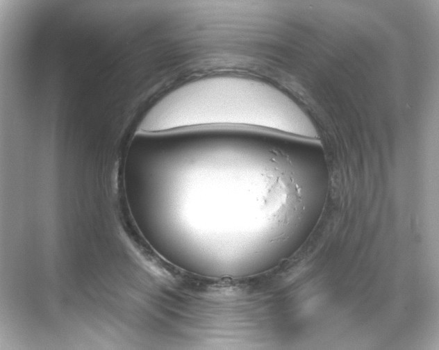 X0000069410454200605121053