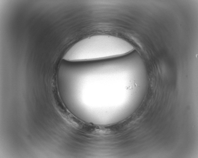 X0000069410455200605121053