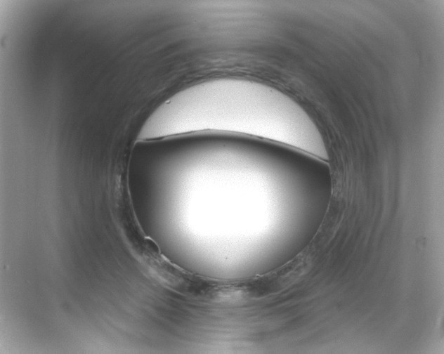 X0000069410456200605121053