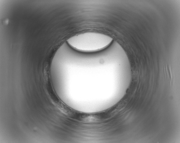 X0000069410460200605121053