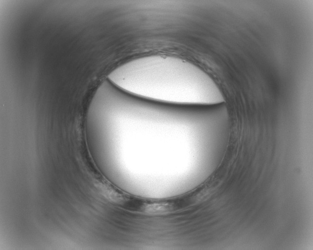 X0000069410461200605121053