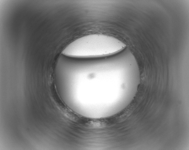 X0000069410464200605121053