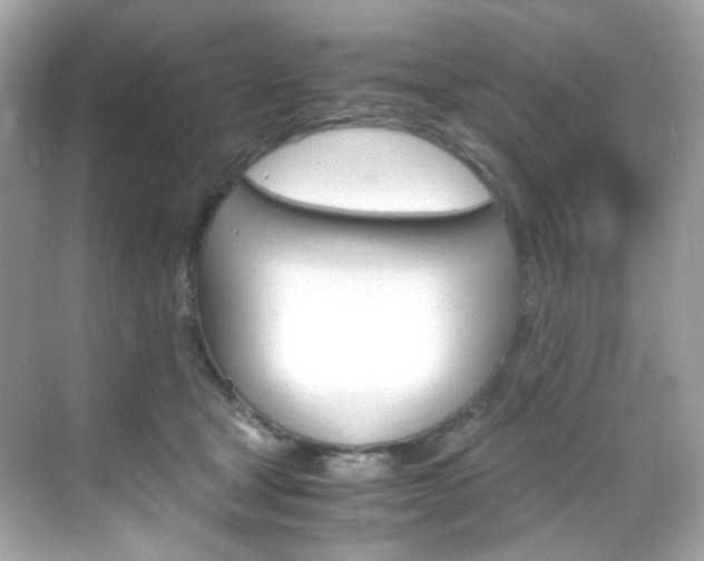 X0000069410465200605121053