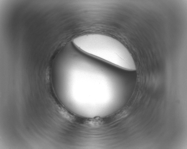 X0000069410466200605121053