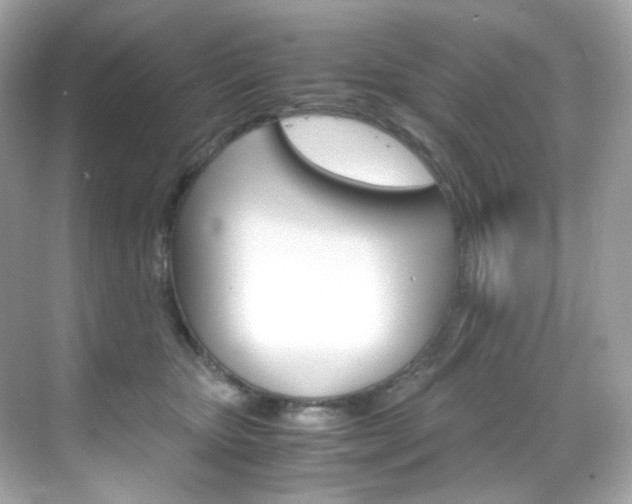 X0000069410467200605121053