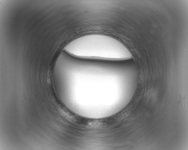 X0000069410470200605121053