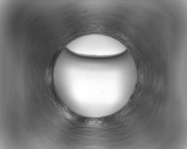 X0000069410471200605121053