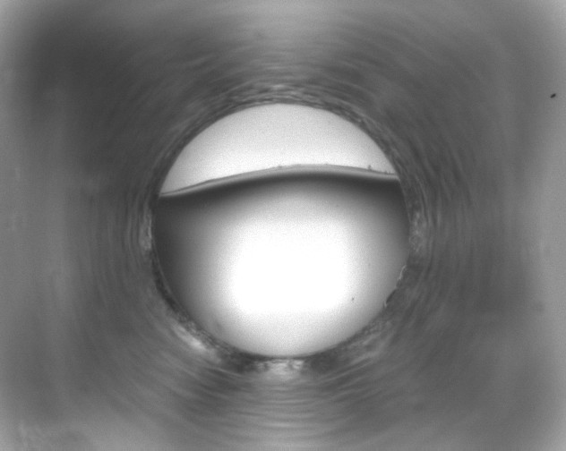 X0000069410474200605121053