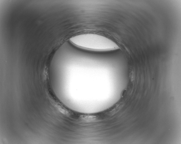 X0000069410476200605121053