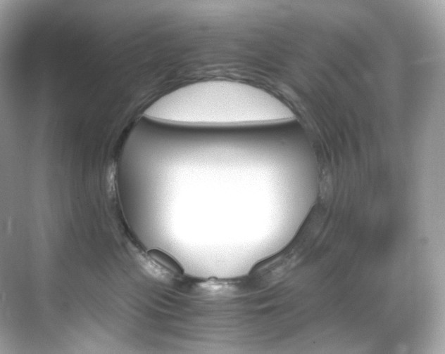 X0000069410477200605121053
