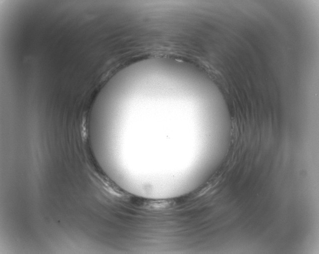 X0000069410479200605121054