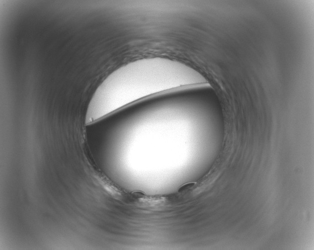 X0000069410480200605121054