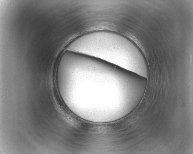 X0000069410482200605121053