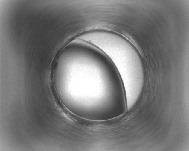 X0000069410485200605121053