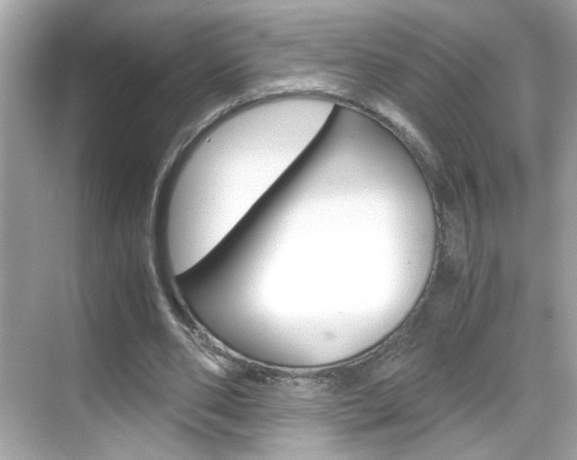 X0000069410486200605121053