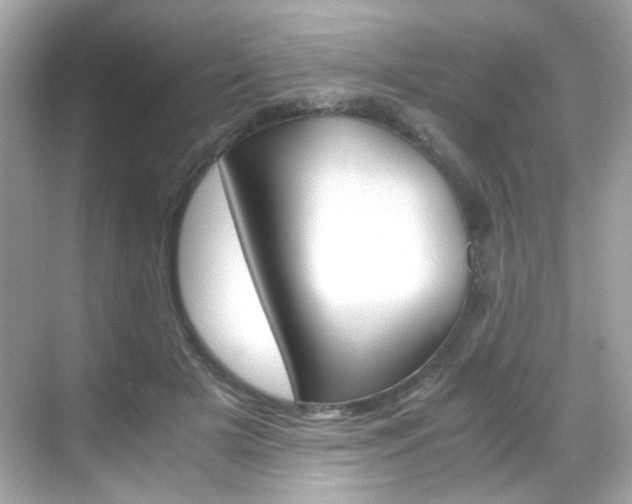 X0000069410505200605121052