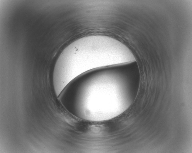 X0000069410508200605121052