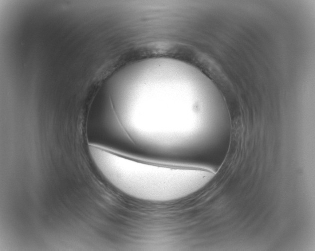 X0000069410509200605121052
