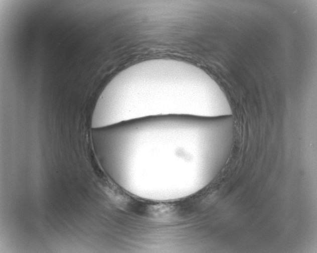 X0000069410511200605121052
