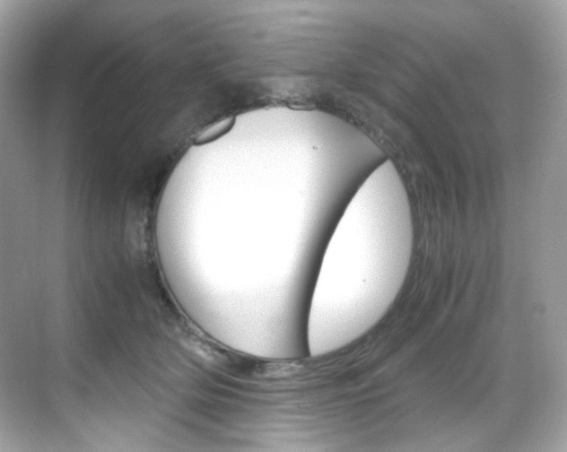 X0000069410514200605121052