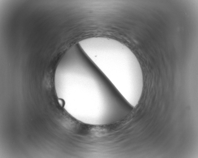 X0000069410515200605121052
