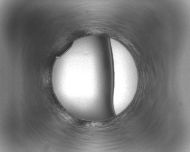 X0000069410517200605121052