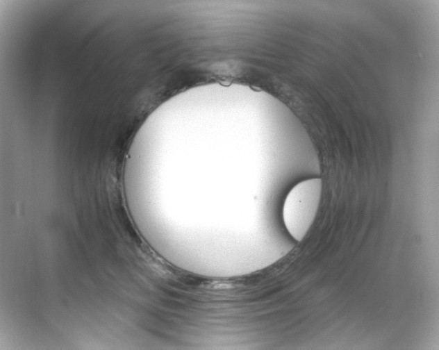 X0000069410518200605121052