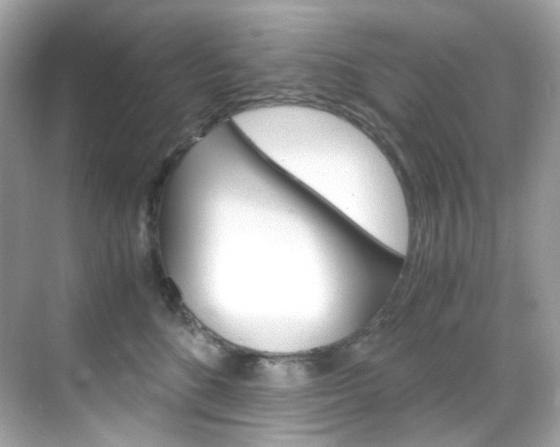 X0000069410520200605121052