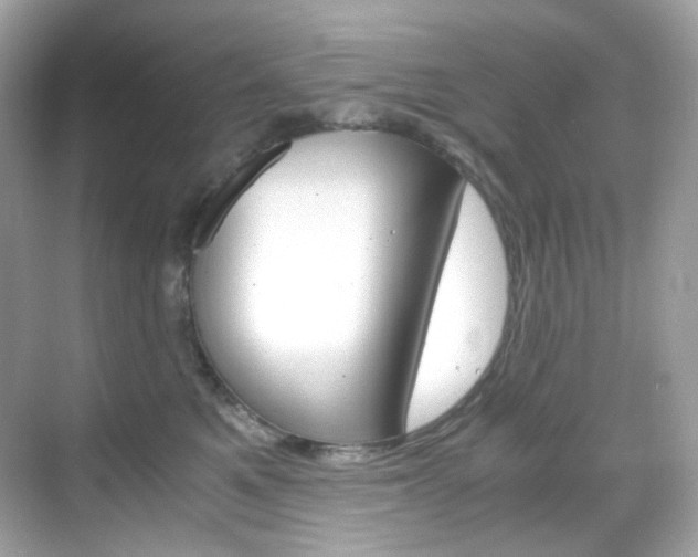 X0000069410521200605121052