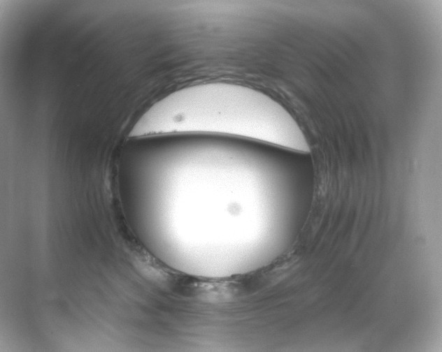 X0000069410524200605121052