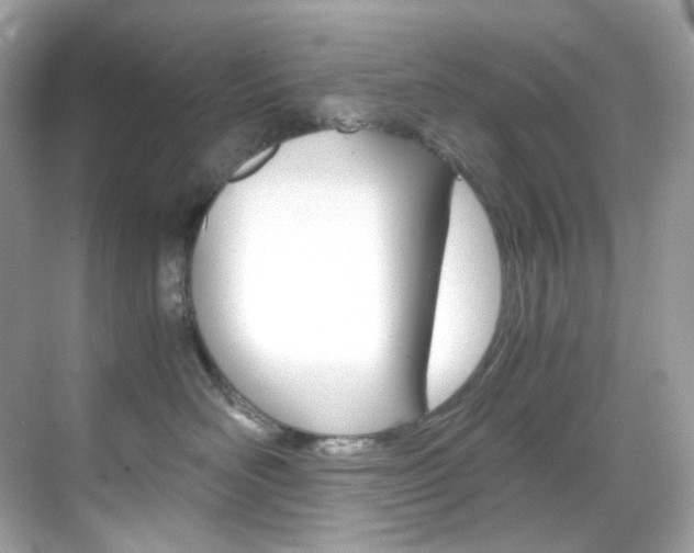 X0000069410526200605121052