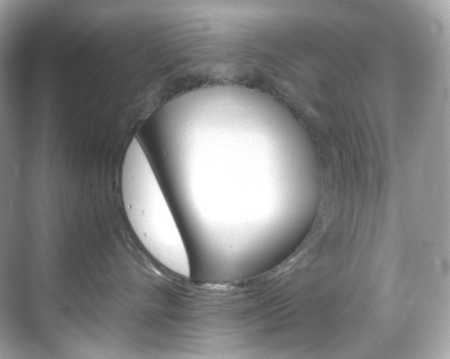 X0000069410528200605121052