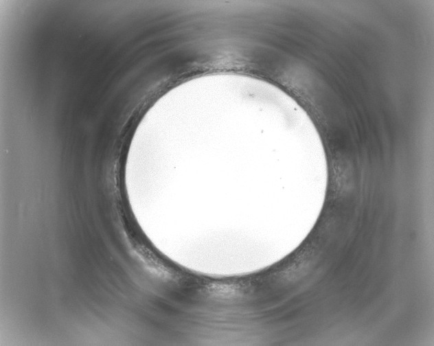 X0000069410534200605121051