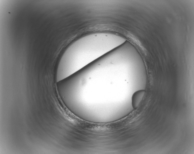 X0000069410537200605121051