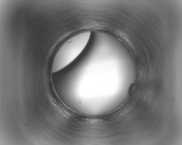 X0000069410539200605121051