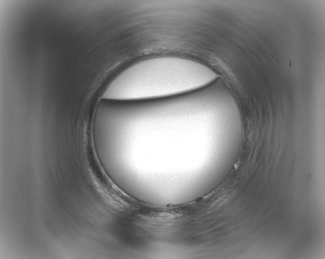 X0000069410542200605121051